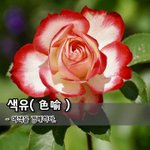 [좋은글] [좋은글] 색유色喩 - 여색을 경계하다.