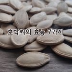 [좋은글] [좋은글] ◇ 호박씨의 효능 7가지