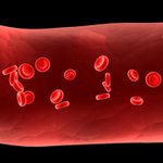 [좋은글] [좋은글] ◇ 혈관을 젋게 만들어주는 10가지 식품