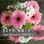 [좋은글] 경국지색傾國之色 - 나라가 기울어져도 모를 정도의 <b>미인</b>