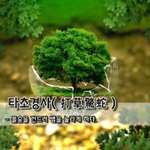 [좋은글] [좋은글] 타초경사打草驚蛇 – 풀숲을 건드려 뱀을 놀라게...