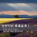 [좋은글] [좋은글] 향원익청香遠益淸 - 향기는 멀수록 더 맑다...