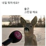 [<b>혼자</b>하는말] 잠들기 싫어