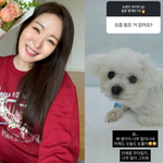 '김태현' <b>미자</b>, 사랑하는 가족 떠나보낸 지 4개월…"언제쯤 무뎌질지"...