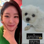 ‘김태현’ <b>미자</b>, 반려견 떠난 후 후유증… “언제쯤 무뎌질지