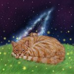 [어케생각해] <b>취미</b>로 그린 고양이 <b>그림</b>(디지털 Ver)