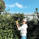 향기 가득한 오후”…박한별, 한겨울 햇살 아래→여유로운 귤<b>수확</b> 일상