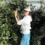 박한별, 안 꾸며도 가려지지 않는 미모..귤 따는 청순 <b>미녀</b>