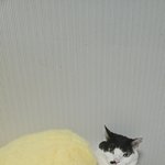 뭐<b>하나</b>