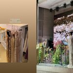 박진주가 직접 고른 드레스인데..<b>민경아</b> "민폐 하객 오해 금지"...