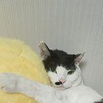 커피에