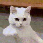 <b>날씨</b>가