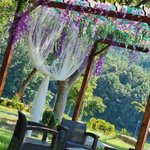 [조언부탁해] 사진 평가좀