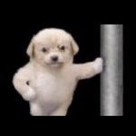 [댓글부탁해] 배라알바<b>첫날</b>하고왔긔윤 판녀들아ㅜ