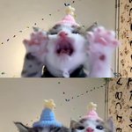 내 최애 <b>과사</b>보면 여미새 아니면 게이일긋