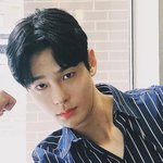 차<b>인하</b>, 안부 인사 남긴 채 세상 떠난 별...어느덧 6년 지났다...