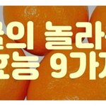[좋은글] [좋은글] 귤의 놀라운 효능 9가지