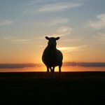 [좋은글] [좋은글] <b>양아치</b>