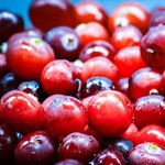 [좋은글] [좋은글] 갱년기를 물리치는 10가지 음식