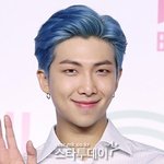 [단독] ‘BTS <b>RM</b> 이웃집’ 116억에 낙찰…나인원한남 역대...