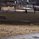 우리동네 오<b>프리</b>쉬 졸라심함 ㅡㅡ