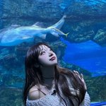 [어케생각해] 진짜 <b>성형</b>충 ㅈㄴ 싫음