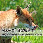 [좋은글] 차호위호借虎威狐 - <b>호랑이</b>의 위세를 빌린 여우, 남의...