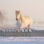[좋은글] [좋은글] 백마비마白馬非馬 - 흰 말은 말이 아니다,...