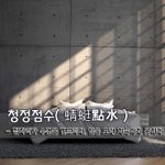 [좋은글] 청정점수蜻蜓點水 - <b>잠자리</b>가 수면을 건드리다, 일을 오래...