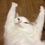 아