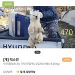 개도 <b>아픔</b>을 느껴요..