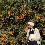 박지윤, 골프 치고 먹고..제주도에서 제대로 즐기는 ‘소확행’ 근황