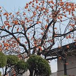 이번엔 진짜다 (73)