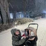 “첫 눈”…예리, 겨울밤 설렘→반짝이는 눈길 산책