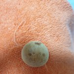 [드루와] 나 드디어 <b>현서</b> 먹었다