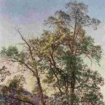 [하고싶은말] 올리브