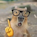 니네가 내 상황이면 <b>반수</b>함??