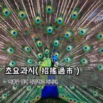 [좋은글] [좋은글] 초요과시招搖過市 – 허풍을 떨며 <b>자랑</b>하고 다니다.