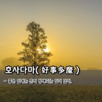[좋은글] 호사다마好事多魔 - 좋은 일에는 흔히 <b>방해</b>되는 일이 많다.