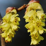 [좋은글] [좋은글] 【히어리】