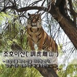 [좋은글] 조호이산調虎離山 - <b>호랑이</b>를 꾀어 산을 떠나게 하다,...