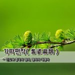 [좋은글] 기파편작耆婆扁鵲 - <b>인도</b>와 중국의 명의, 명의의 대명사