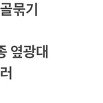 하고시픈 성형 <b>목록</b>