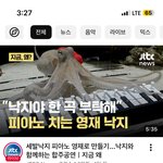 <b>유튜브</b> 알고리즘 ㅈㄴ 싸패 아니냐;;