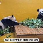 [댓글부탁해] 이번 1월1일 디스패치 뜬다는데 찐<b>일까</b>?..