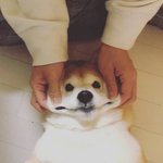 볼이