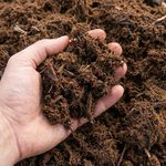 [뷰티] 시베리아 <b>청정</b> 이끼가 키워낸 생명력... 차원이 다른 '유안재...