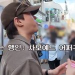 사모예드 또 <b>발견</b>하고 눈 돌아간 사친자