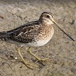 <b>전생</b>에 대한 기억없음