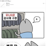 유니클로 감사제 특징